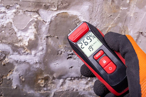 Best DIY Mold Remediation Support Services in Denver City, TX