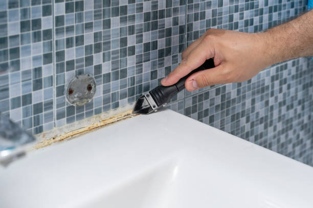 Best Health and Safety Mold Remediation in Denver City, TX