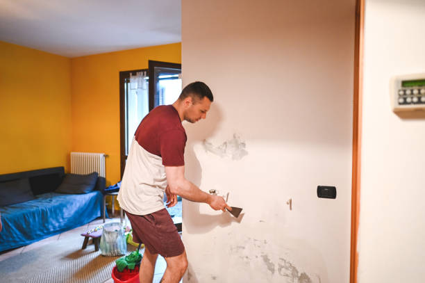 Best Mold Remediation for Specific Building Types in Denver City, TX